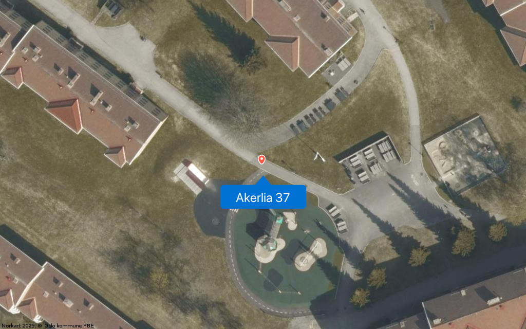 Akerlia 37
