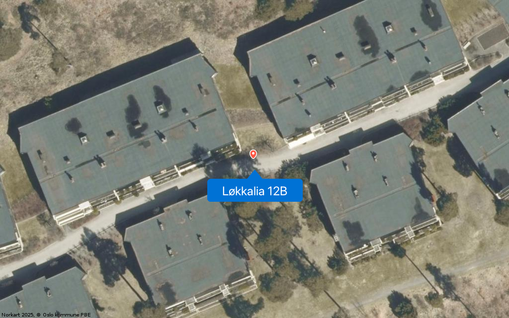 Løkkalia 12B
