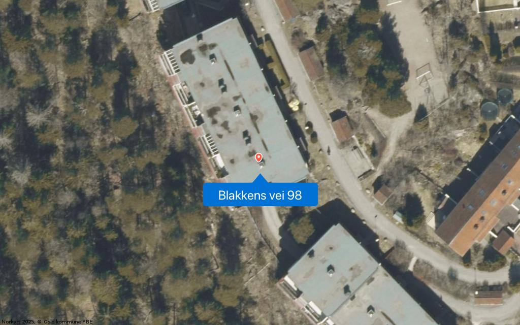 Blakkens vei 98