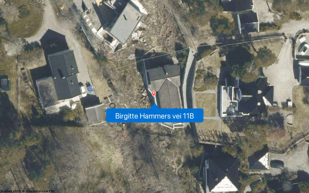 Birgitte Hammers vei 11B