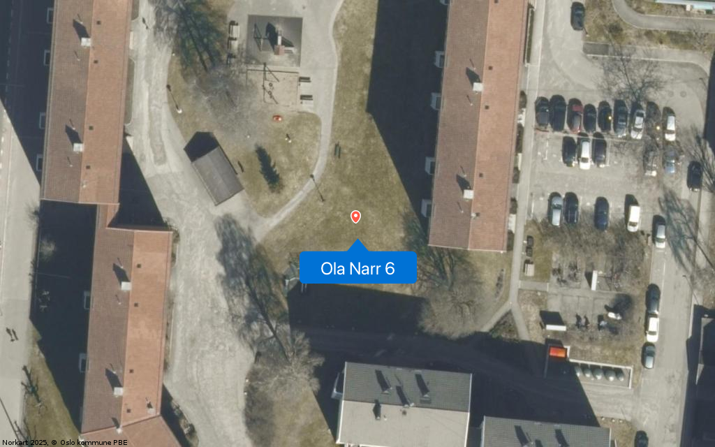 Ola Narr 6