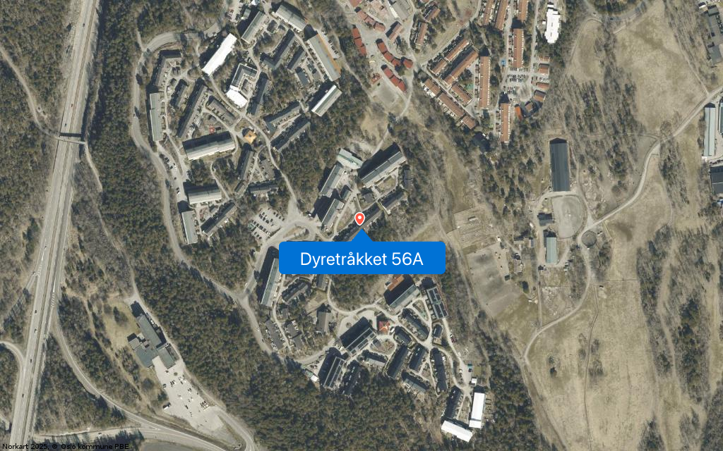 Dyretråkket 56A