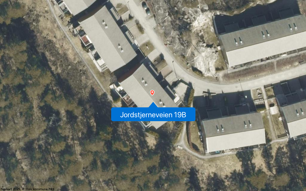 Jordstjerneveien 19B