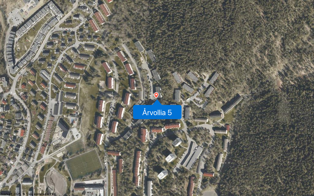 Årvollia 5