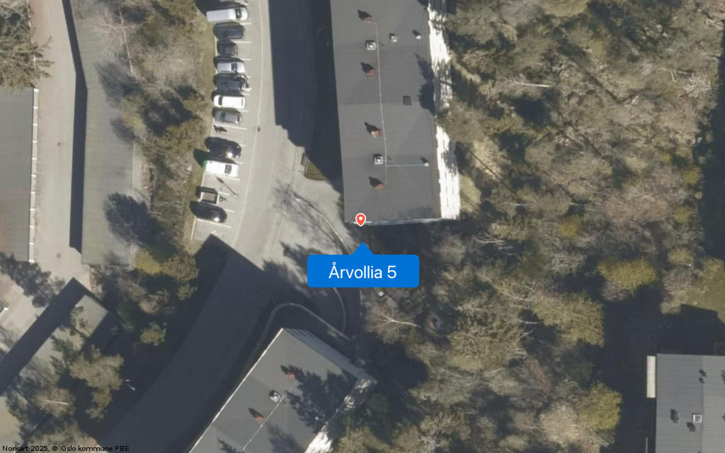 Årvollia 5