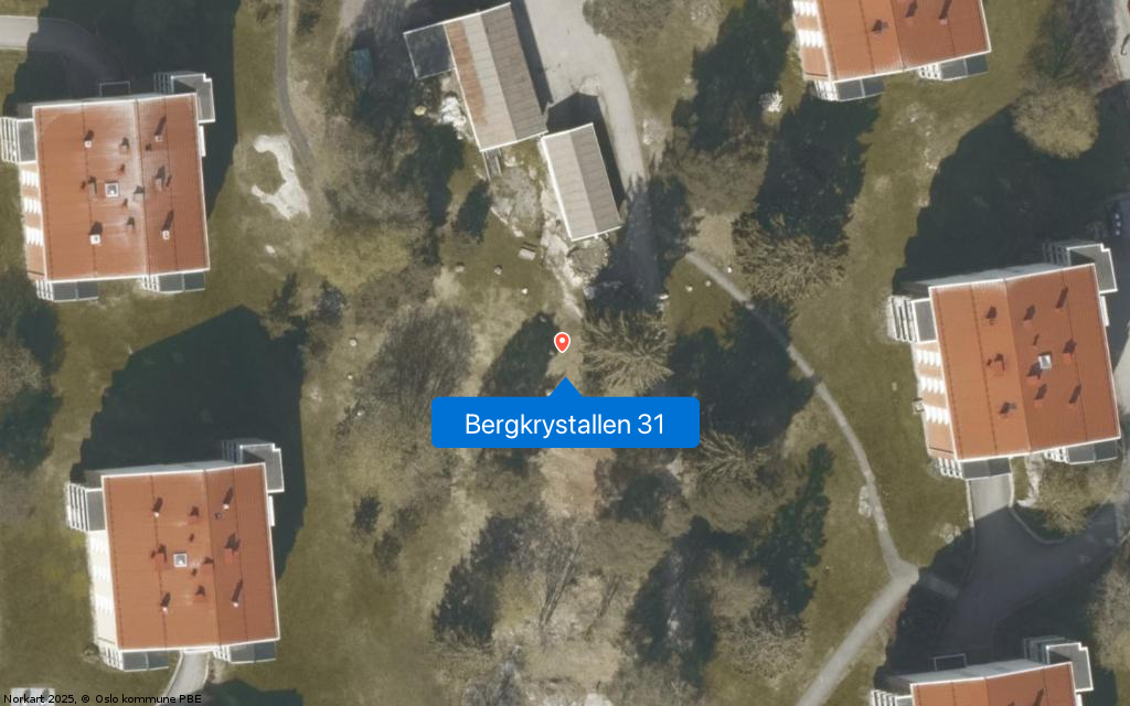 Bergkrystallen 31