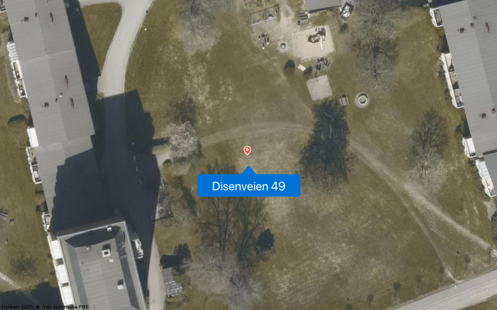Disenveien 49