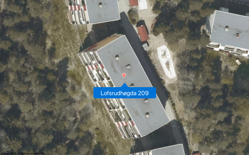 Lofsrudhøgda 209
