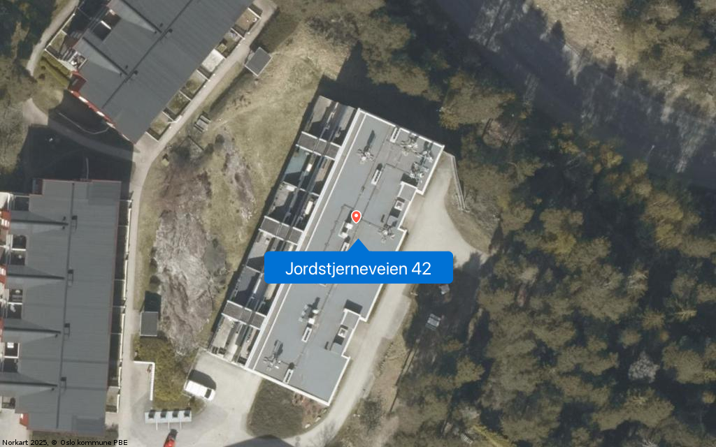 Jordstjerneveien 42