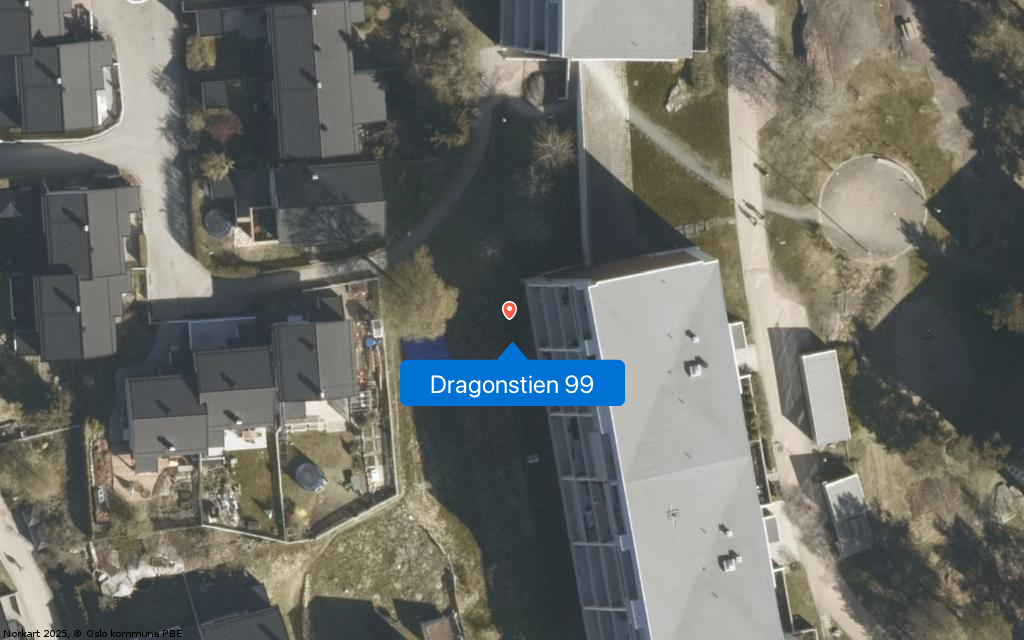 Dragonstien 99