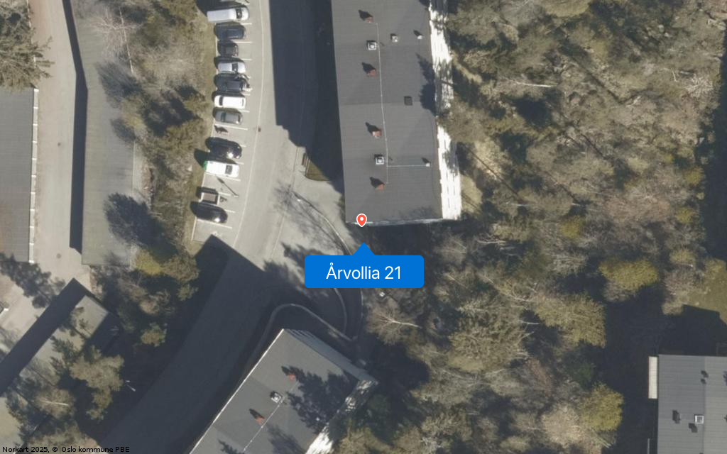 Årvollia 21