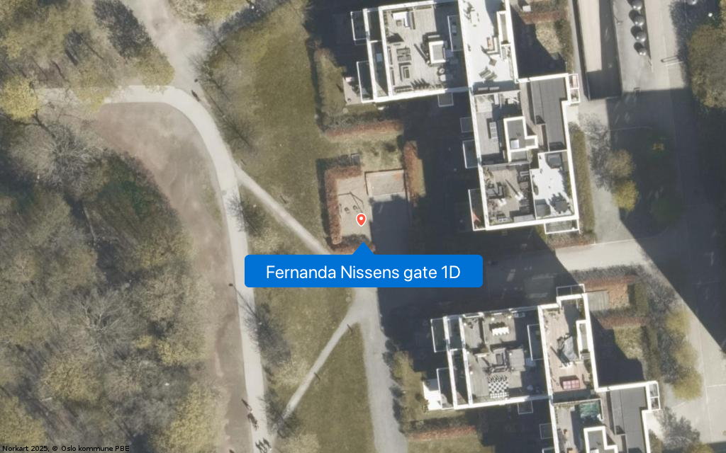Fernanda Nissens gate 1D