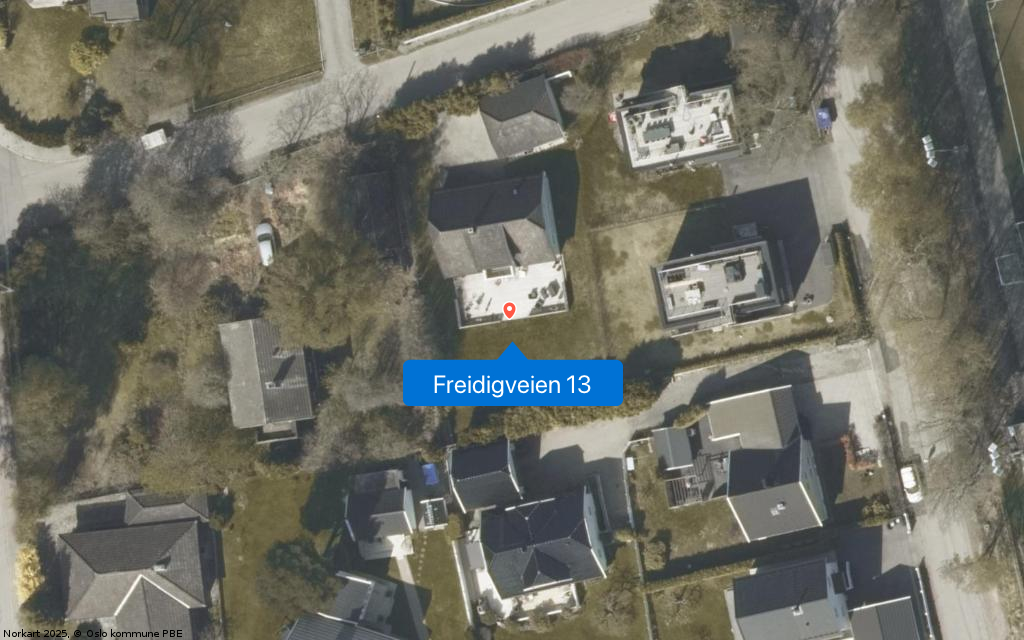 Freidigveien 13