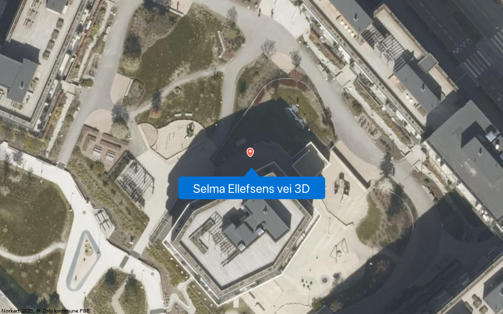 Selma Ellefsens vei 3D