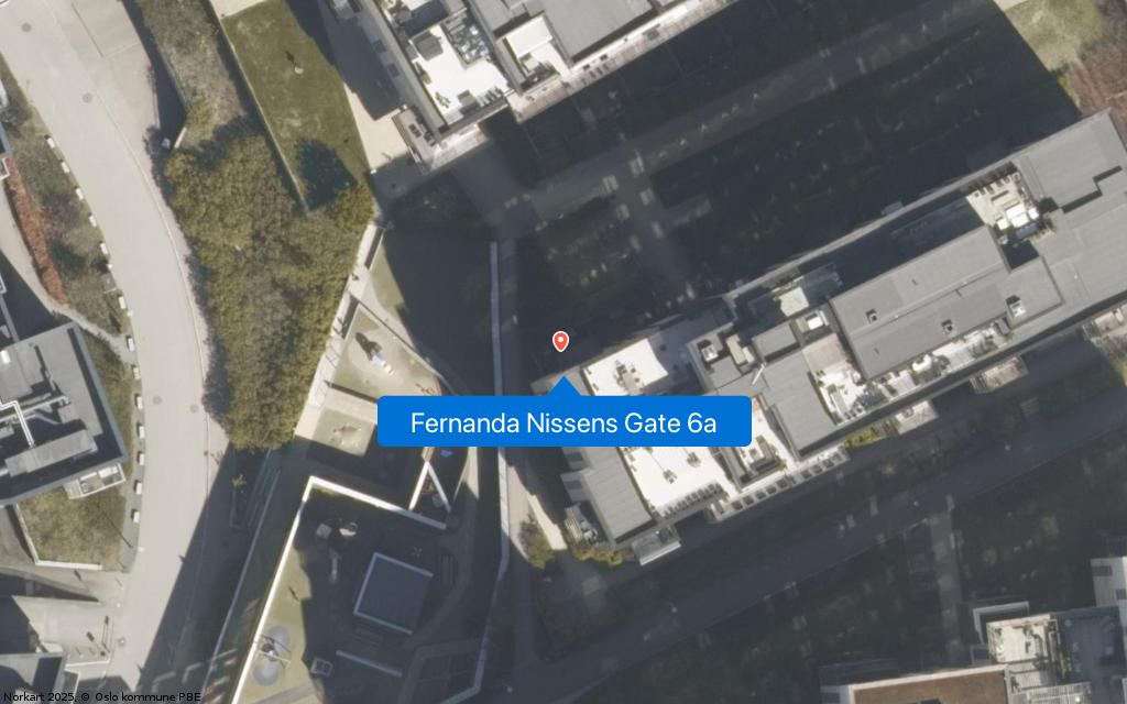 Fernanda Nissens Gate 6a