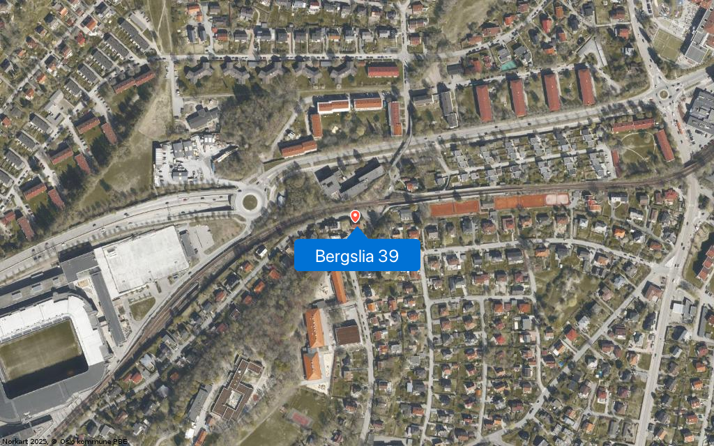 Bergslia 39
