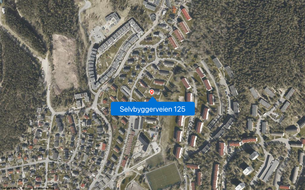 Selvbyggerveien 125