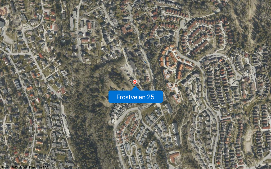 Frostveien 25
