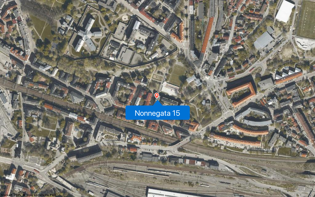 Nonnegata 15