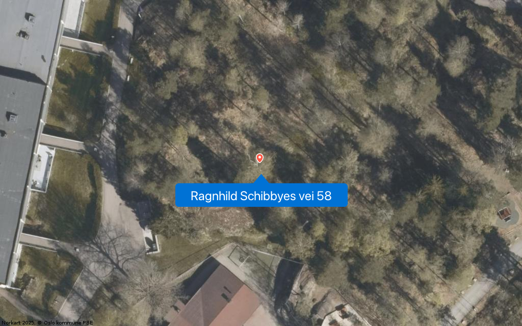 Ragnhild Schibbyes vei 58