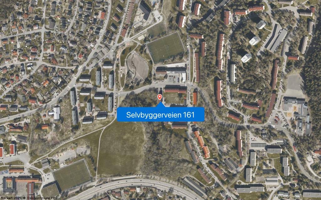 Selvbyggerveien 161
