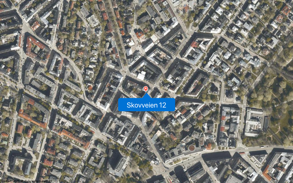 Skovveien 12