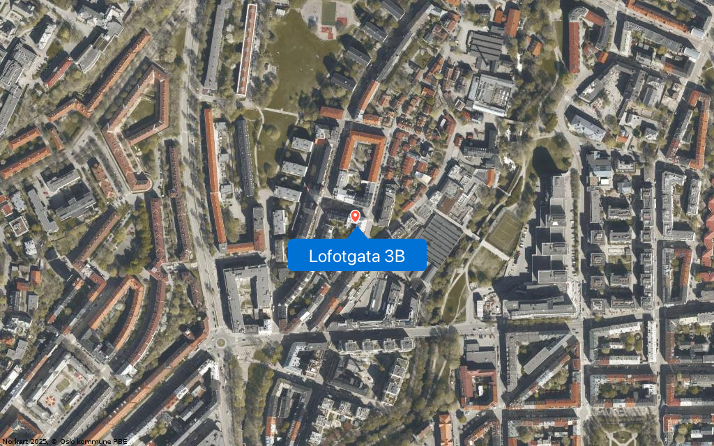 Lofotgata 3B