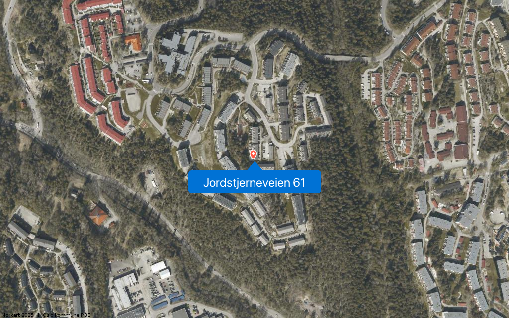 Jordstjerneveien 61