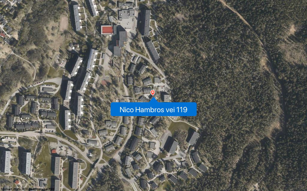 Nico Hambros vei 119