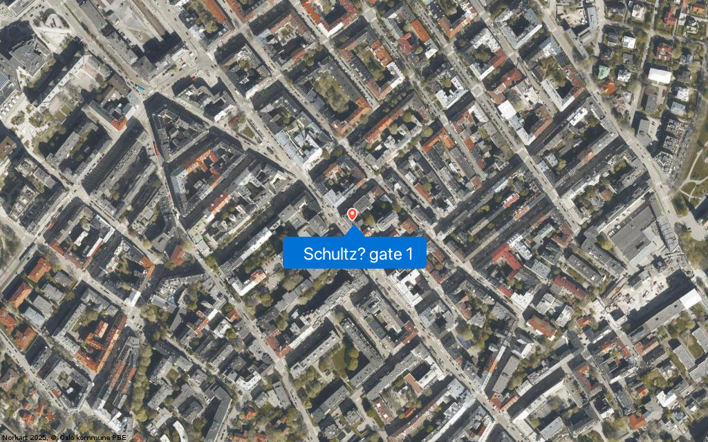 Schultz´ gate 1