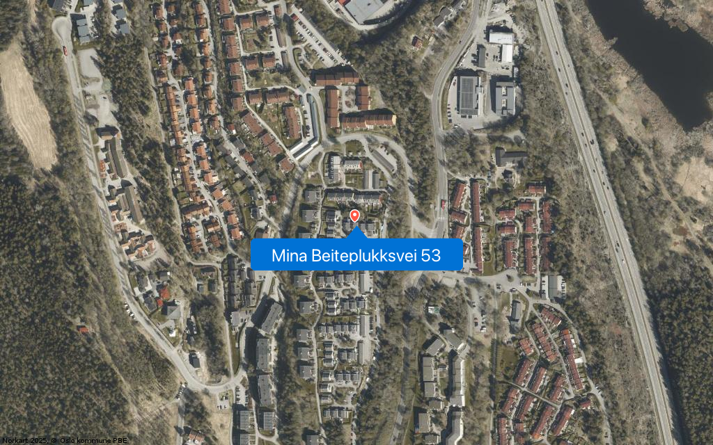 Mina Beiteplukksvei 53