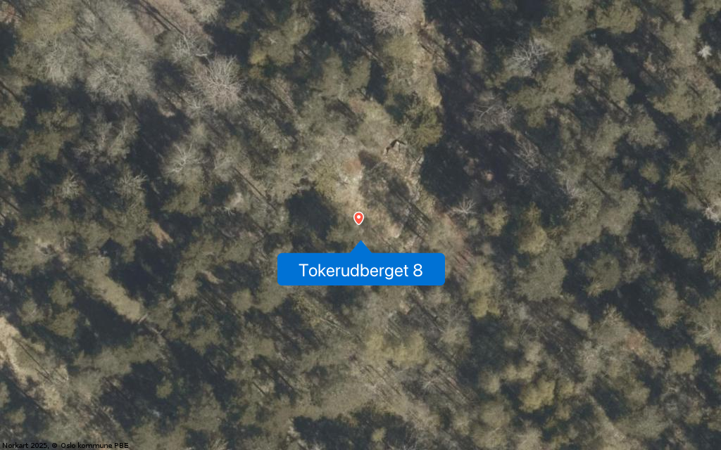 Tokerudberget 8