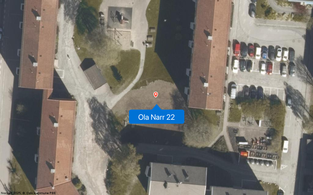 Ola Narr 22