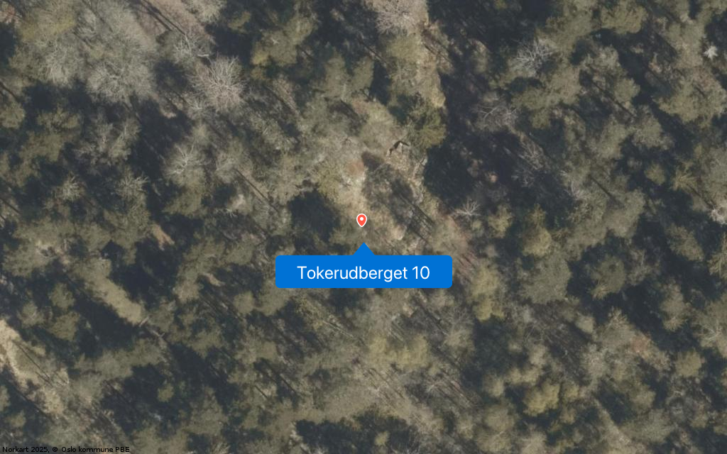 Tokerudberget 10