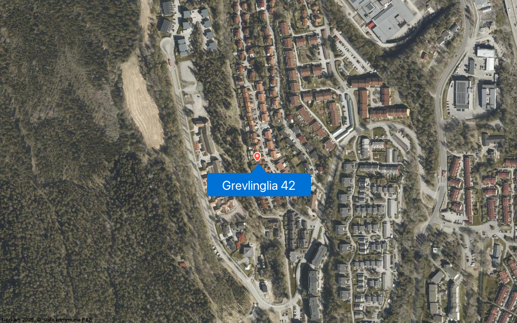 Grevlinglia 42