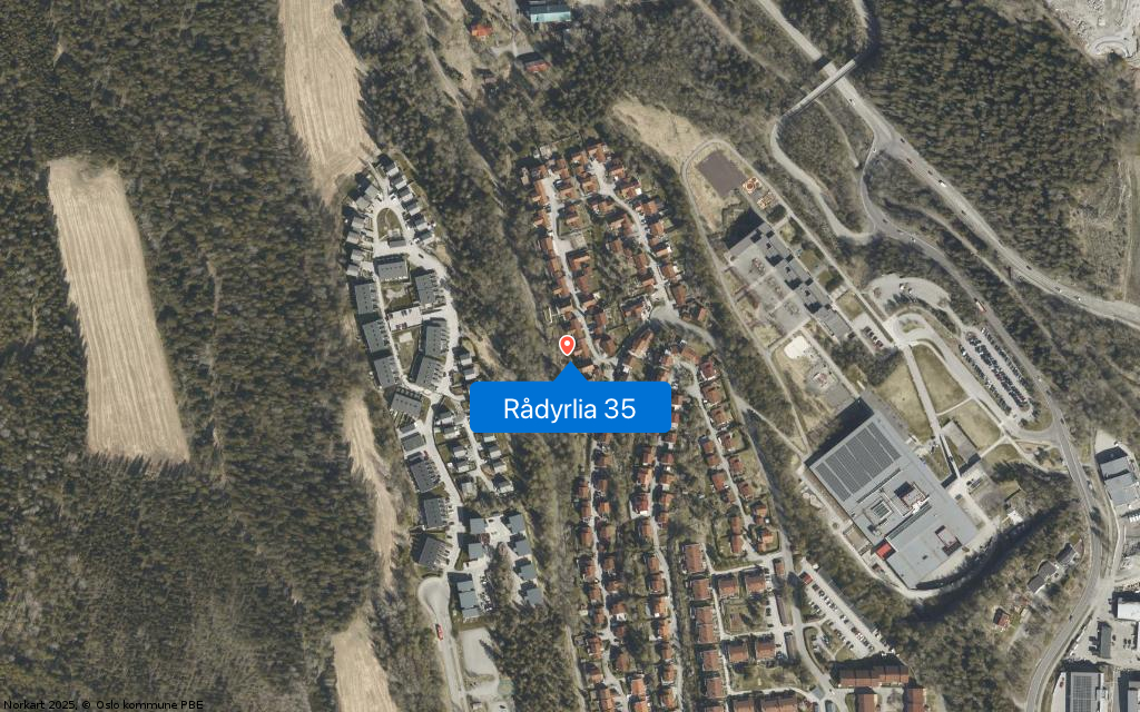 Rådyrlia 35