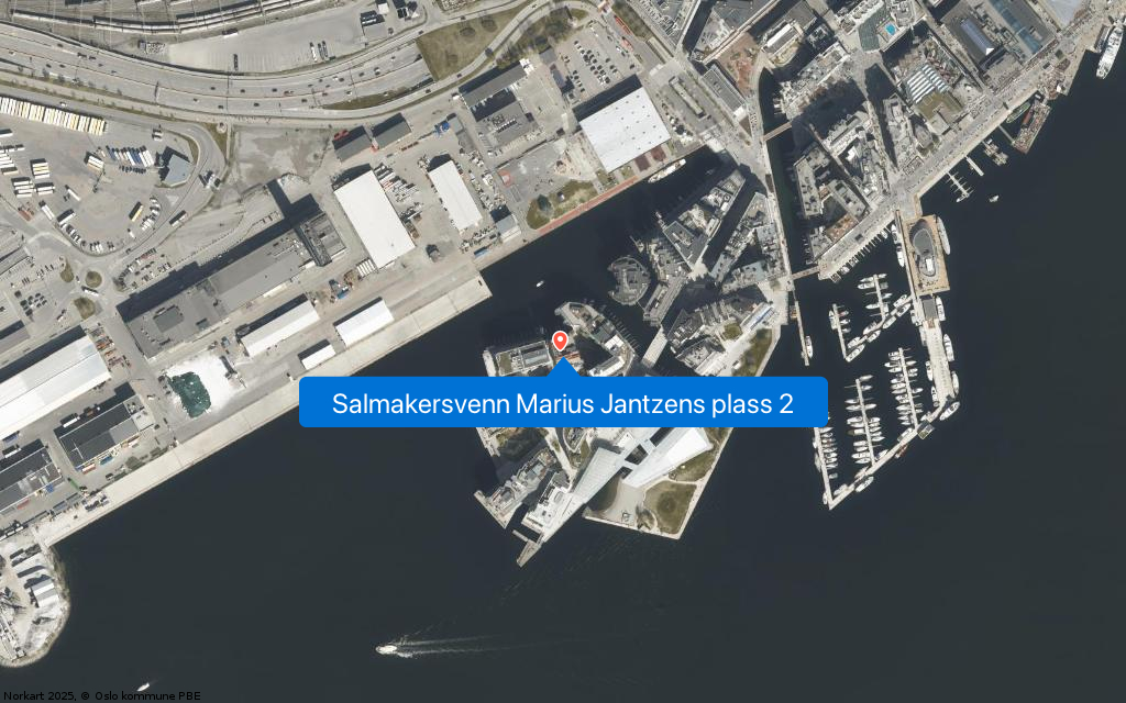 Salmakersvenn Marius Jantzens plass 2