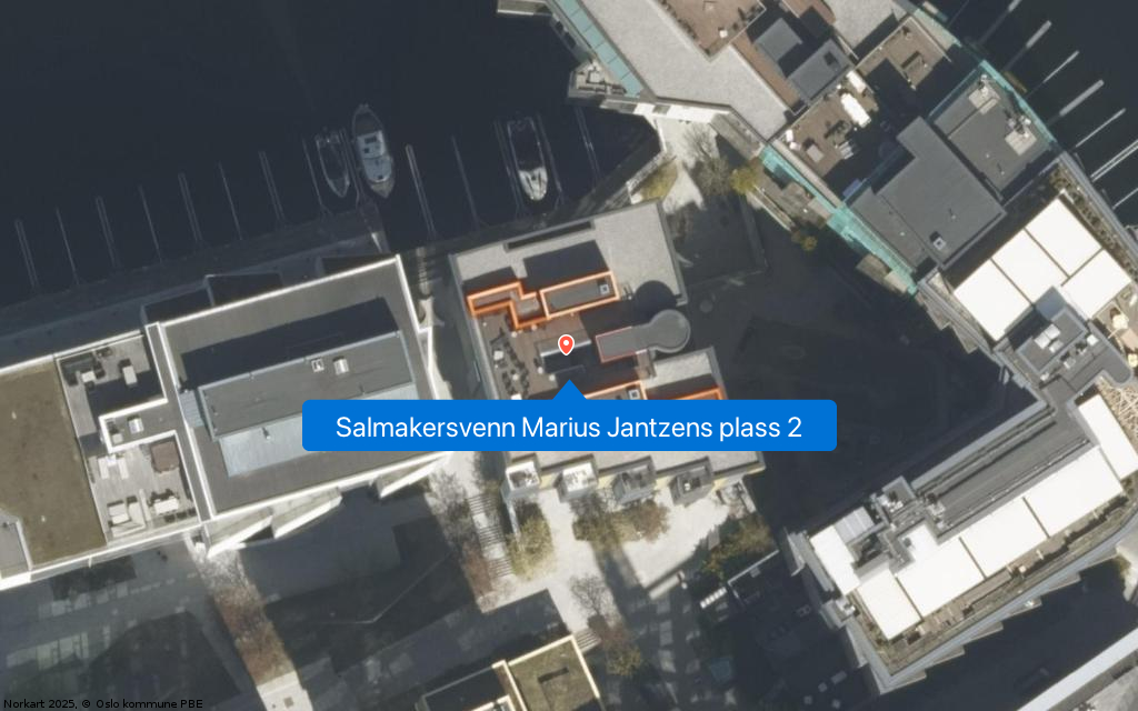 Salmakersvenn Marius Jantzens plass 2