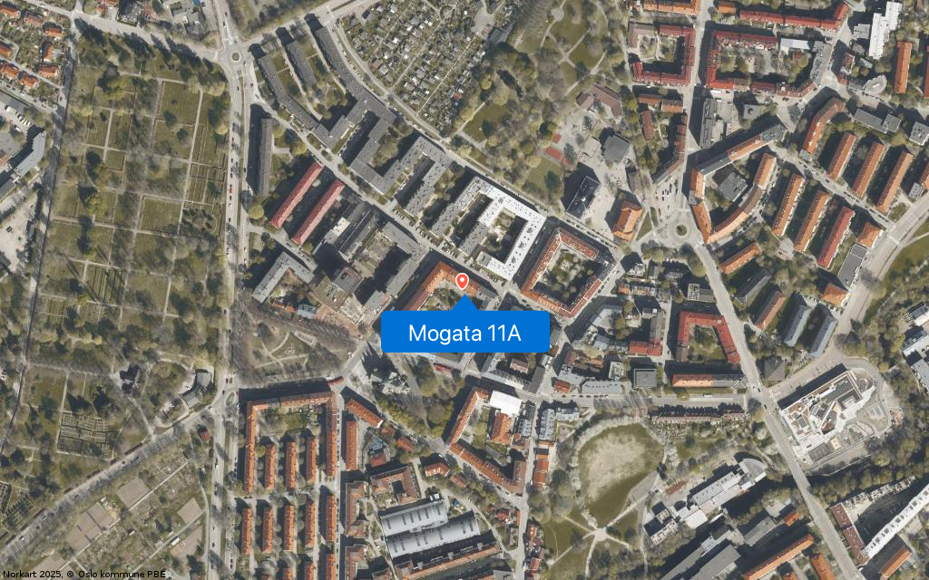 Mogata 11A