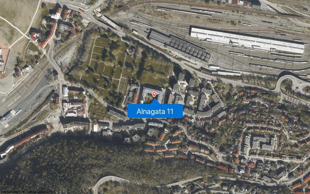 Alnagata 11