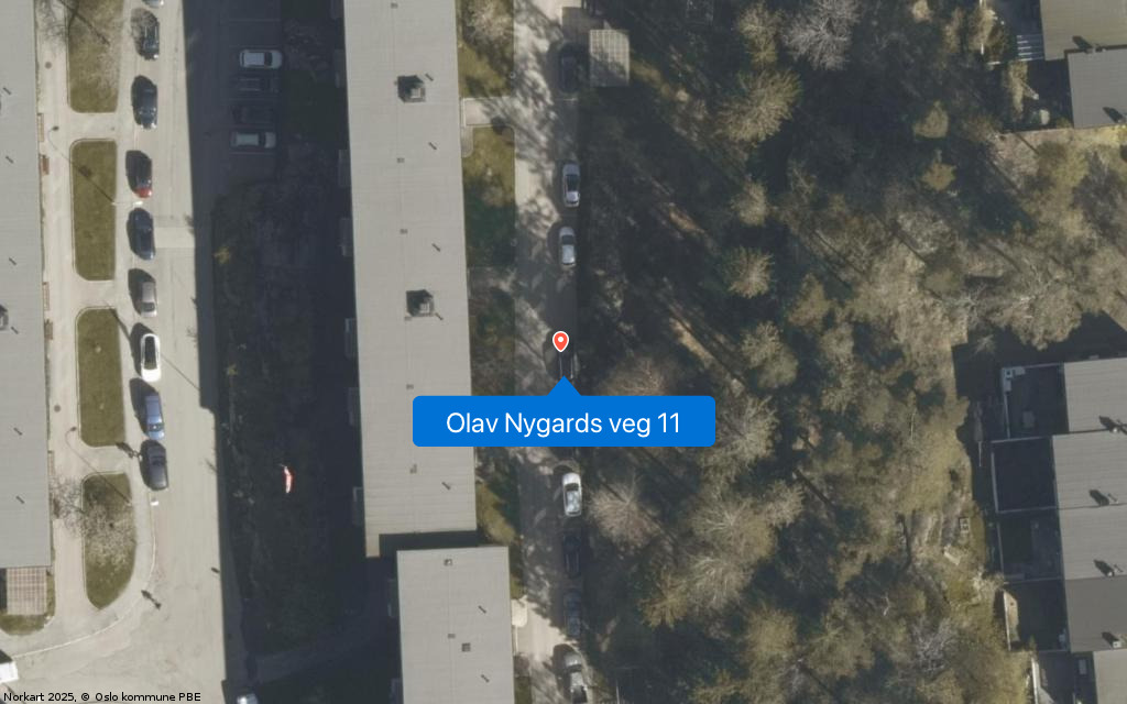 Olav Nygards veg 11