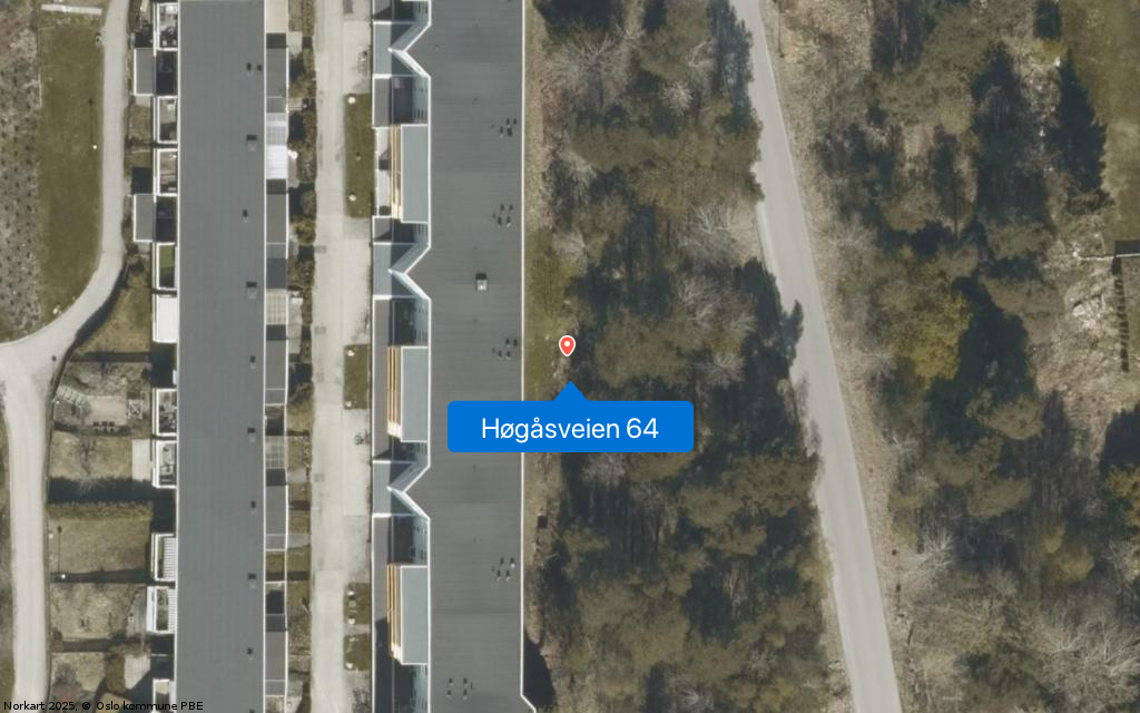Høgåsveien 64