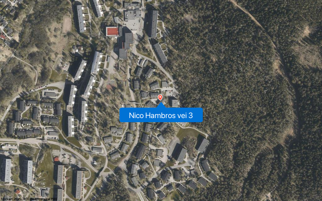 Nico Hambros vei 3