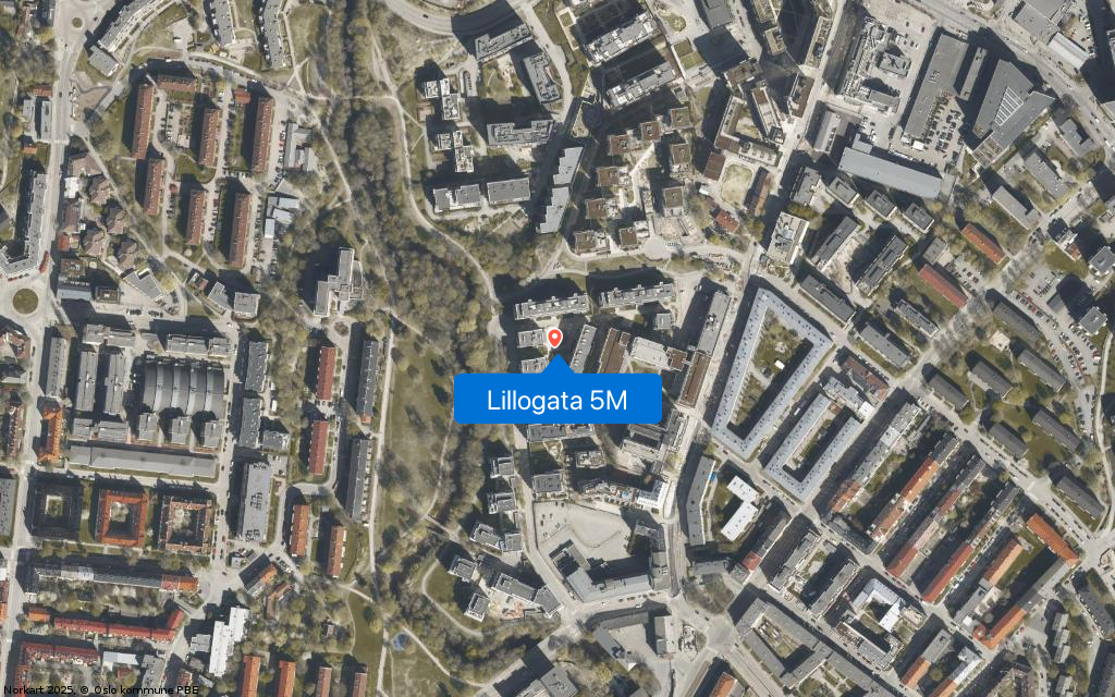 Lillogata 5M
