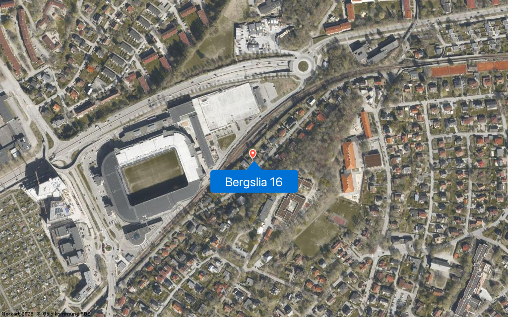 Bergslia 16