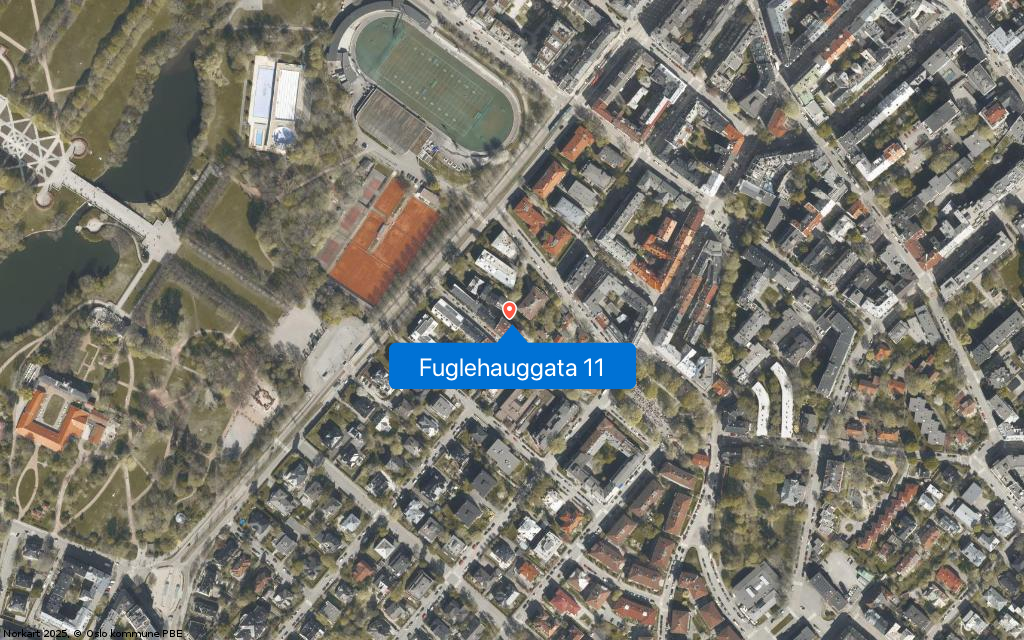 Fuglehauggata 11