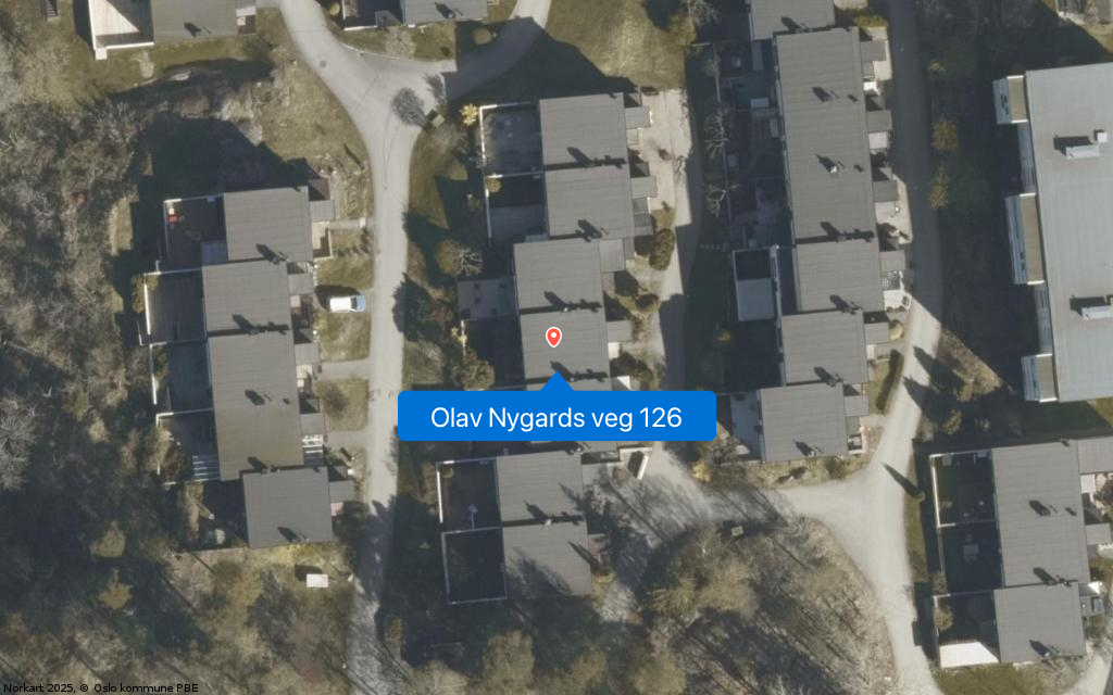 Olav Nygards veg 126