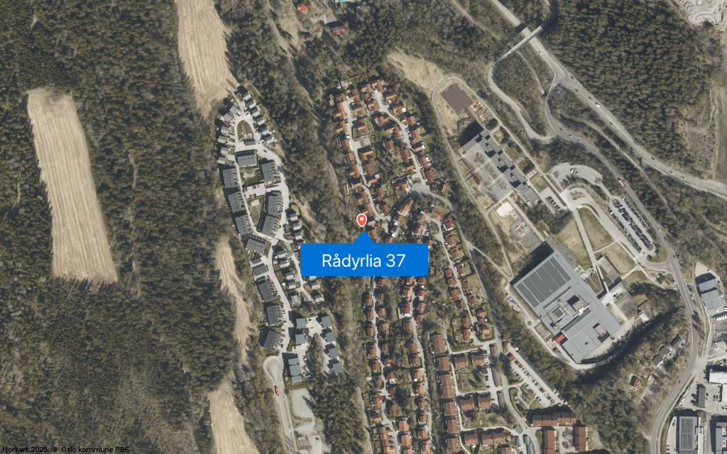 Rådyrlia 37