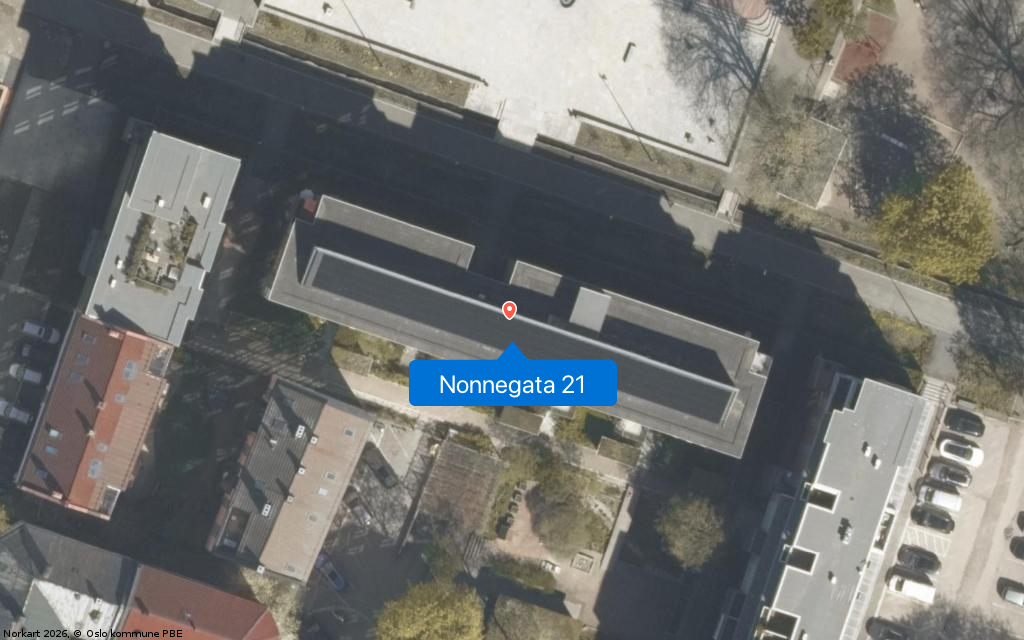 Nonnegata 21