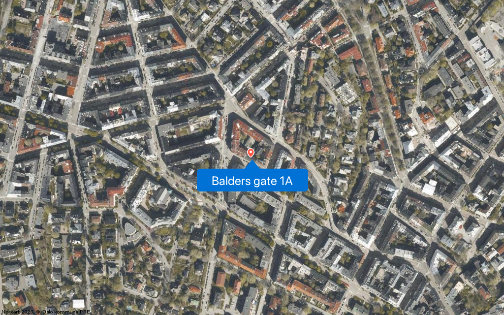 Balders gate 1A